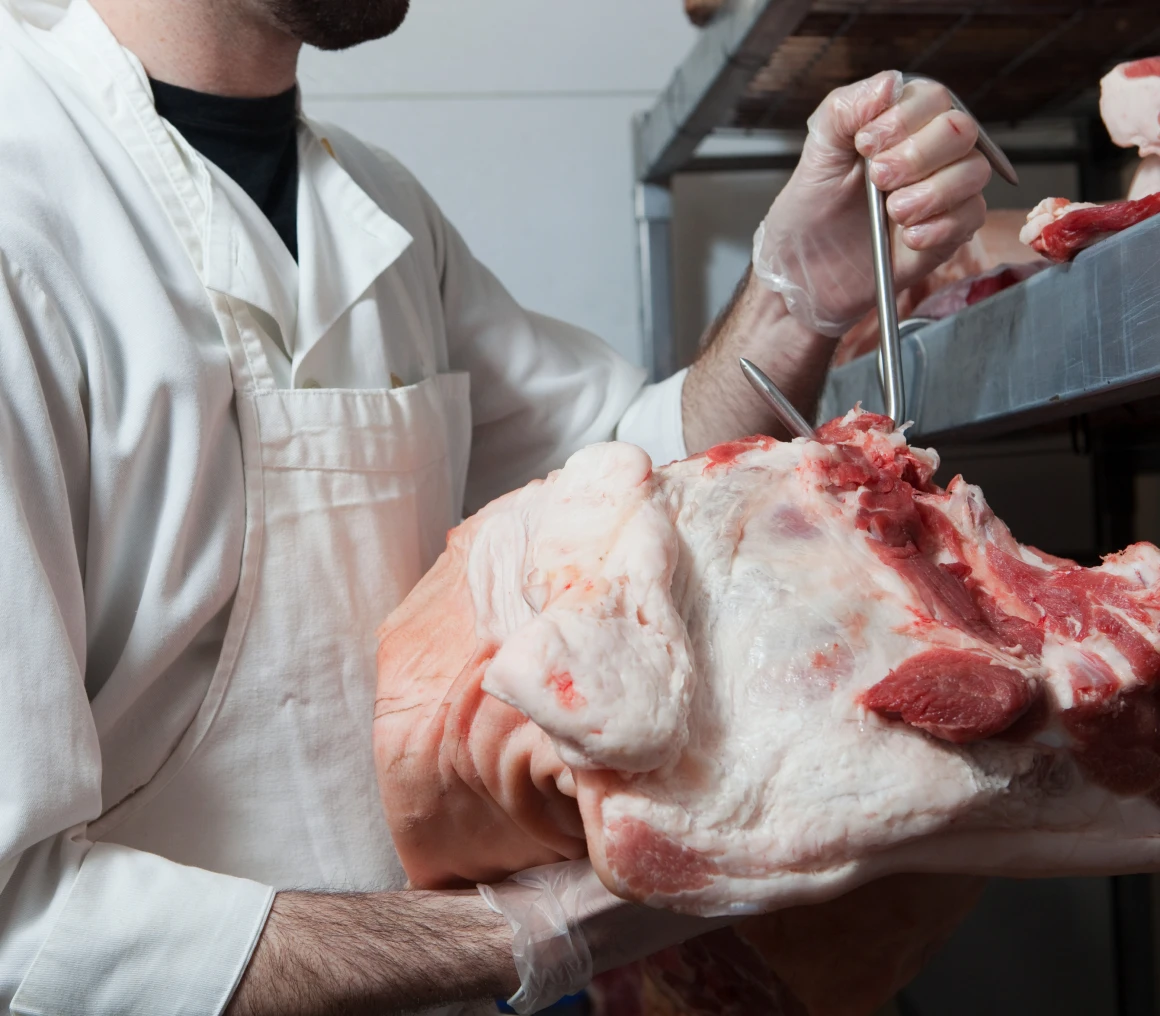 Butcher handling large piece of raw meat.